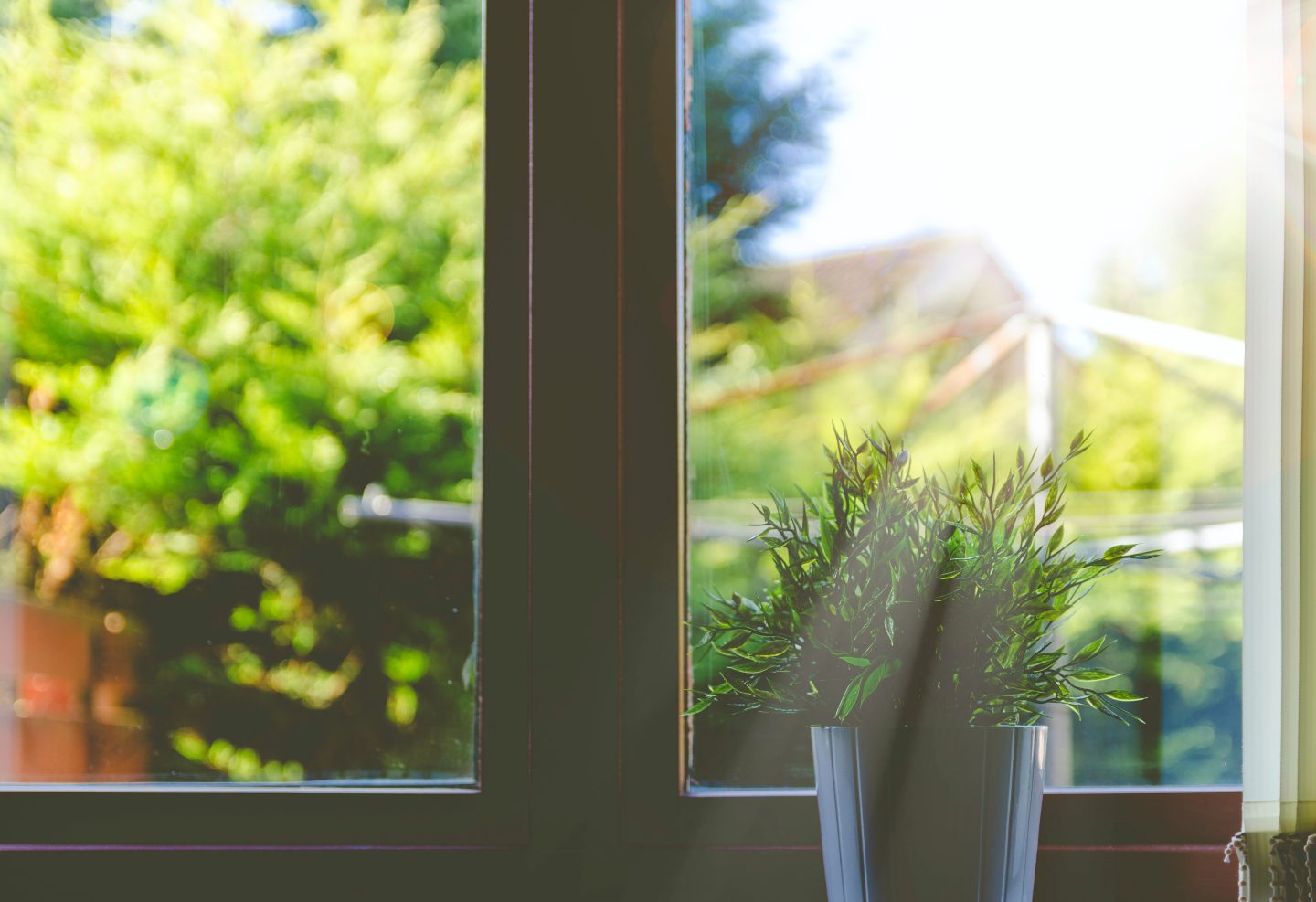 3 Questions To Asking When Replacing Your Home’s Windows